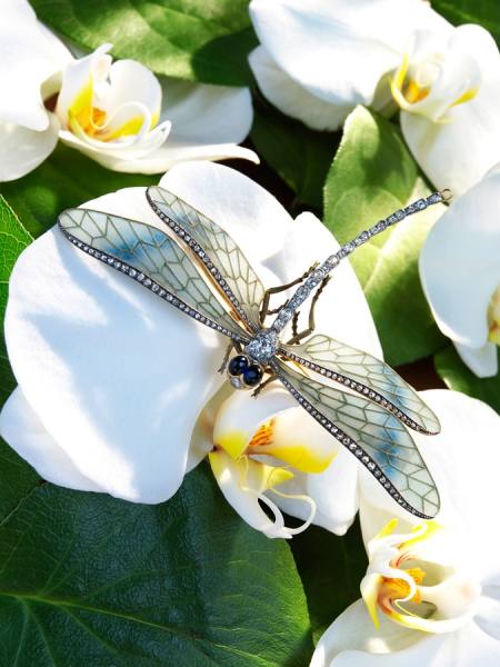 Photograph Lee George Hacker Dragonfly on One Eyeland